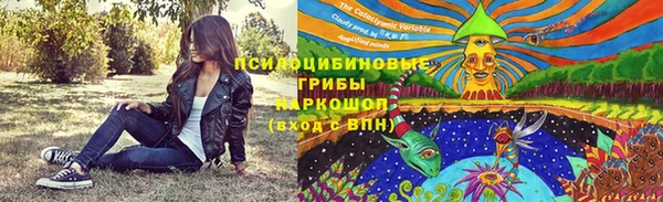 spice Алексеевка