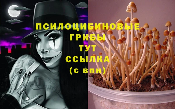 кокс Нягань