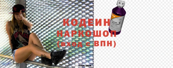 хмурый Алексин