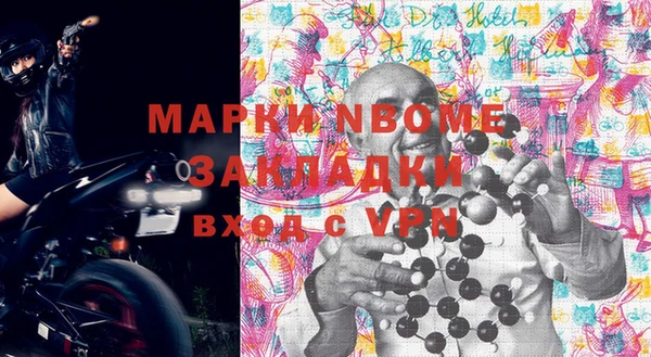 хмурый Алексин